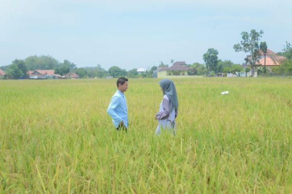 WhatsApp-Image-2025-11-10-at-16.44.56