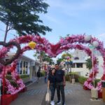 gallery-8