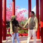 6e467832-f591-4cc6-90dc-4aaa3f123f47-3