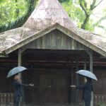 WhatsApp-Image-2025-11-21-at-14.40.39-1