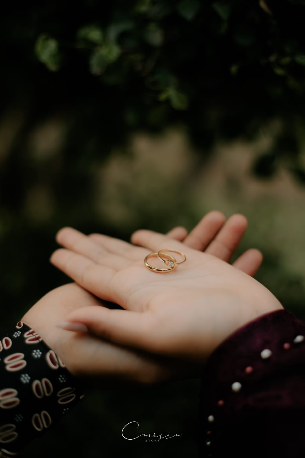 5c138efb-c2f9-4c88-8a99-de0fdadc88e8-2